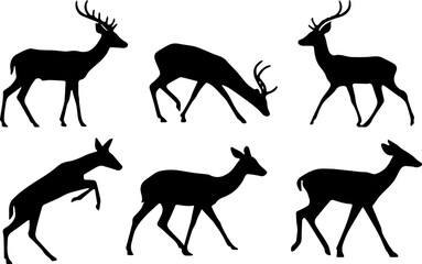 Wall Mural - deer silhouette vector