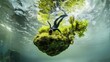 © Thirawat - woman diving upside down, her movements fluid and deliberate as she nears a mossy rock in the depths of the sea