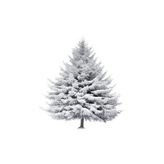 Poster - Stunning pine tree adorned with new snow, set against a clear backdrop, ideal for wintery design projects