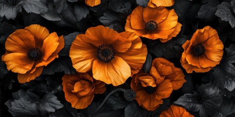 Wall Mural - Orange flowers with black leaves