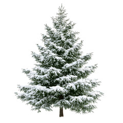 Poster - Realistic fir tree covered with snow, isolated on transparent background, perfect for christmas projects