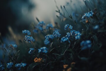 Wall Mural - Blue flowers in field