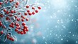© horizon - Atmospheric winter photography of snow-covered mountain ash branches with red berries. Moody scene captures heavy snowfall, bokeh effects, and frosted details against blue background.