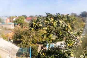 Wall Mural - backyard of village house though dirty window