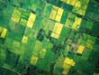 © Attasit - Remote sensing used in field research, monitoring environmental changes and land use patterns