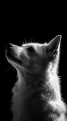 Poster - A black and white silhouette of a dog gazing upwards, highlighting its profile.