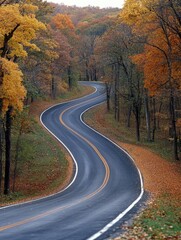 Wall Mural - Winding Forest Road