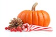 © Fotograf - A candy cane and a pumpkin placed together on a white surface, ideal for holiday or seasonal themes