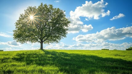 Wall Mural - Majestic Tree Under Blue Sky