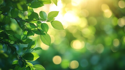 Wall Mural - Sunlit Greenery Close-Up