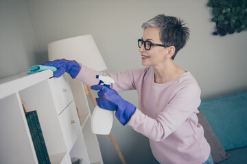 Wall Mural - Photo of shiny cute woman dressed pink sweatshirt enjoying cleaning indoors house apartment room