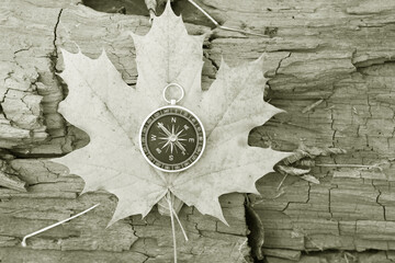 Wall Mural - classic navigation compass on natural background