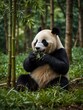 © claudunia - Panda eating bamboo in a peaceful forest.
