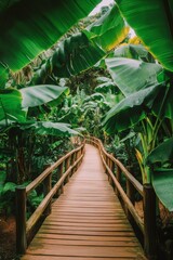 Wall Mural - Wooden bridge surrounded by lush greenery in a tropical garden setting