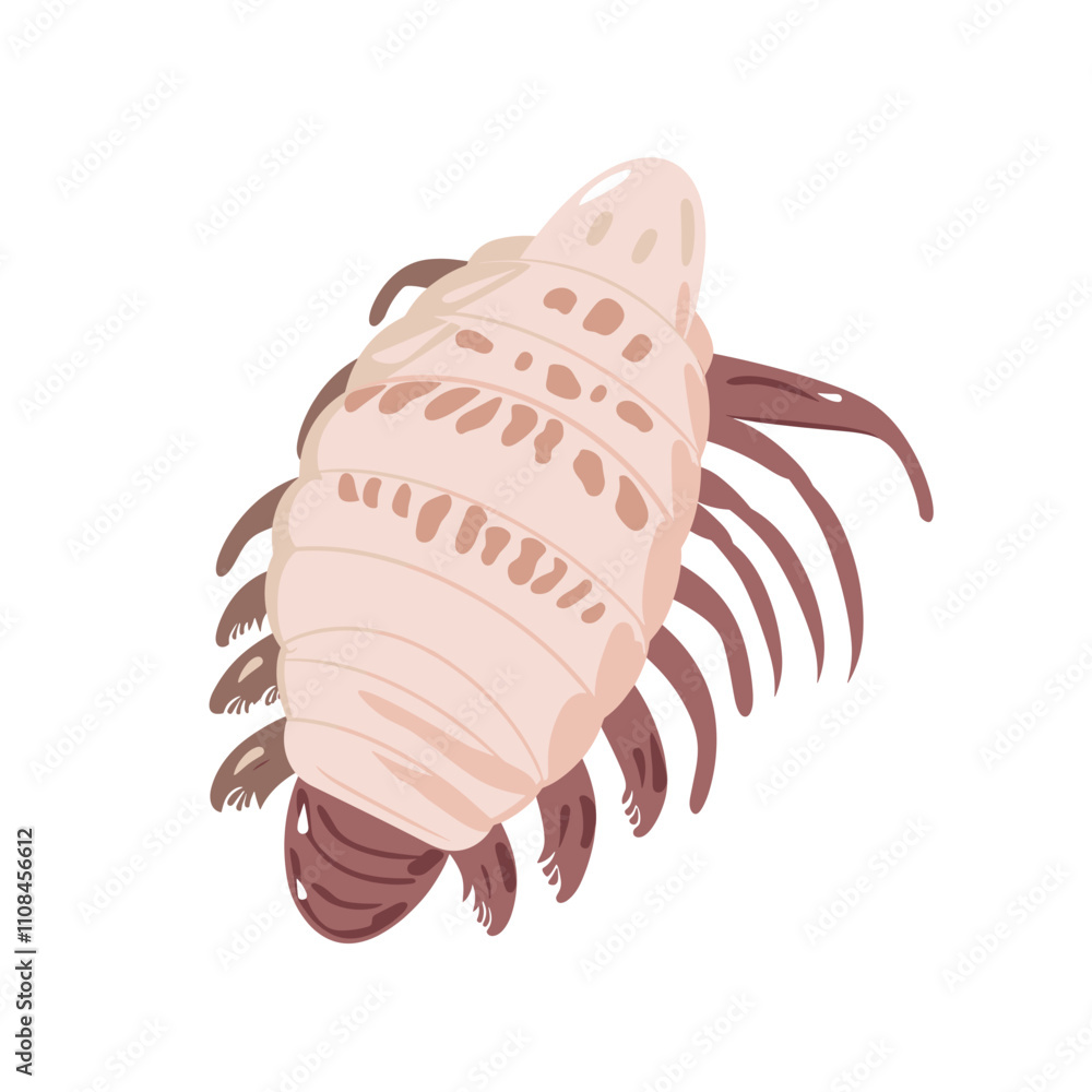 Unique illustration of an isopod showcasing its distinct features and ...