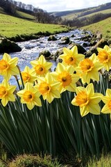 Wall Mural - A vibrant display of yellow daffodils by a serene stream in a lush green landscape.