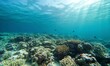 © regulator - A vibrant coral reef landscape, teeming with colorful marine life, vivid corals in shades of orange, pink, and purple, schools of tropical fish swimming gracefully, sunlight streaming through clear tu