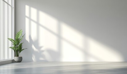Poster - A bright, minimalist indoor space featuring a potted plant, large windows, and soft shadows creating a serene atmosphere.