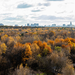Wall Mural - gray cloudy sky over colorful city park in autumn