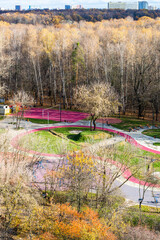 Wall Mural - aerial view of sport playground in colorful forest