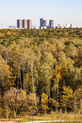 Wall Mural - colorful city park and skyscrapers on horizon