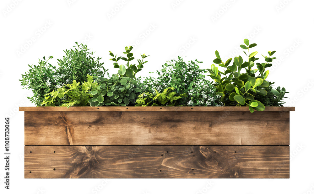 green fresh plants in wooden planter box, white transparent background ...