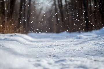 Poster - A serene winter scene with softly falling snowflakes over a snow-covered path surrounded by trees.