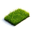 © creative - Lush green grass patch isolated on white.