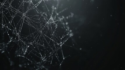  a black and white abstract background with a network of interconnected lines and dots, creating a wallpaper-like effect