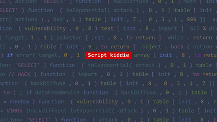 Cyber attack script kiddie text in foreground screen of code editor developer studio point of vue. Vulnerability text in binary system ascii. Text in English, English text