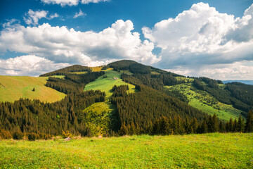 Aufkleber - Spectacular landscape of spring mountain slopes and hills on a bright sunny day. Carpathian mountains, Ukraine, Europe.