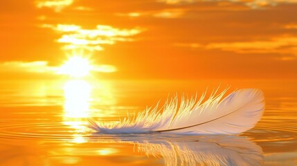 Poster - Serene Feather on Calm Water at Sunrise