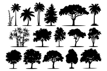 Set of various trees silhouettes vector, Tree nature silhouette, Set of Tree nature silhouette branch plant leaf forest vector trees, black Silhouette illustration of different tree set