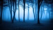 © nattapon - A mysterious forest scene shrouded in blue fog, with silhouettes of trees creating a tranquil yet eerie ambiance, Ideal for use in themes related to nature, solitude, or fantasy storytelling,