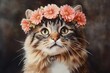 © Fotograf - A domestic cat wearing a floral wreath on its head