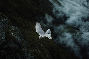 Wall Mural - White bird soaring above misty mountains during twilight hours