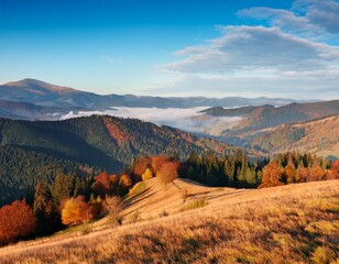 Canvas Print - autumn morning carpathian mountains calm picturesque scene ukraine