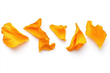 Wall Mural - Calendula petals set against a white backdrop