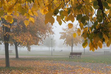 Canvas Print - Autumn leaves cover the park in a foggy morning atmosphere