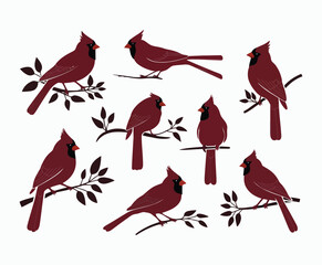 refined cardinal silhouettes collection featuring birds in various poses