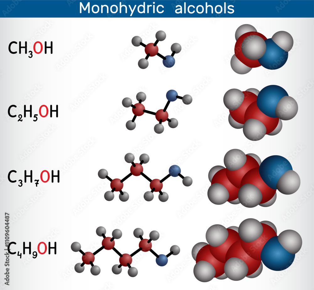Monohydric Alcohols Methanol Ethanol Propanol Butanol Homologous