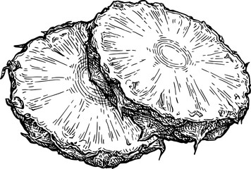 Wall Mural - pineapple cross-section ink sketch.