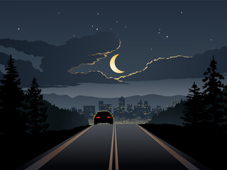 Wall Mural - road in the night