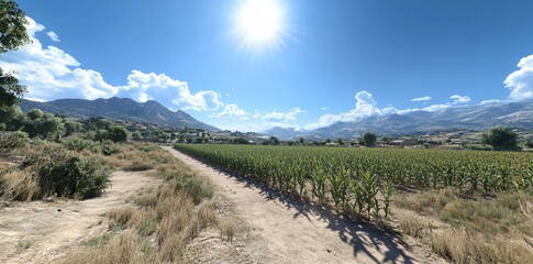 Wall Mural - A vibrant landscape featuring a cornfield under a bright sun and mountainous backdrop.