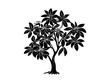 © Abdul - Fringe tree silhouette vector illustration
