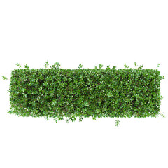 green garden privet trees isolated on transparent canvas from top view