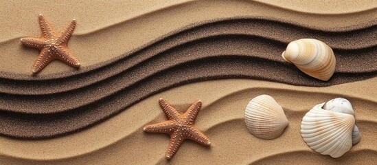 Aufkleber - Aerial view of sandy beach with starfish and seashells creating a serene coastal scene ideal for summer themes and nature backgrounds