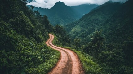 Poster - Winding mountain road through lush greenery and pines capturing breathtaking natural beauty in a national park setting