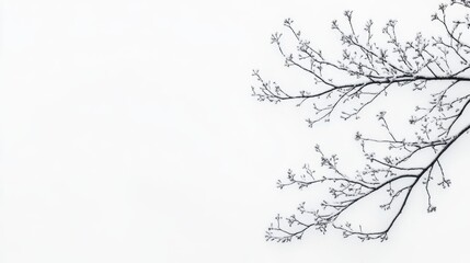 Aufkleber - Delicate tree branches on a minimalist background showcasing nature's simplicity and elegance in a flat lay composition.