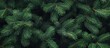 © DigitalDruid - Christmas tree branches close-up natural green background for holiday and festive themes.